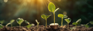 DROP Retirement Program