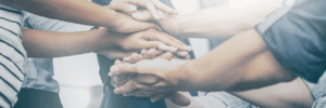 International Credit Union Day